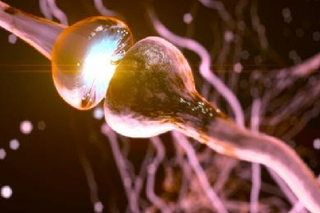 cannabinoïdes-stress