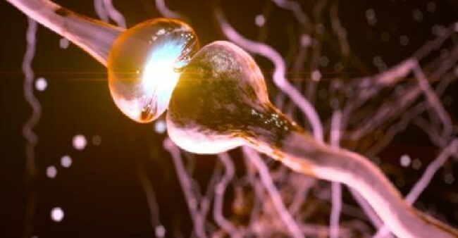 cannabinoïdes-stress