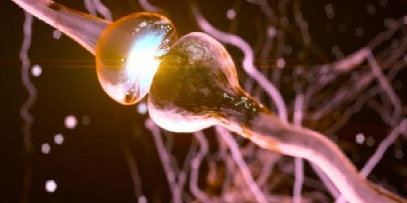 cannabinoïdes-stress