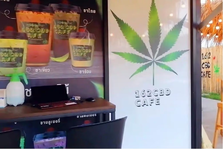 cannabis café à Pattaya