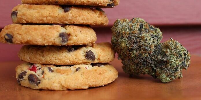 cannabis-cancers-améliorations cognitives