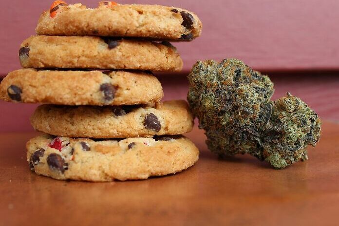 cannabis-cancers-améliorations cognitives