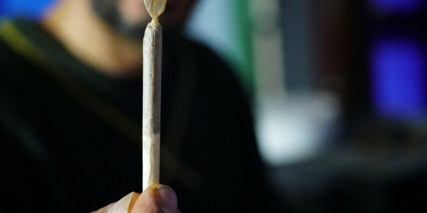 cannabis et psychose