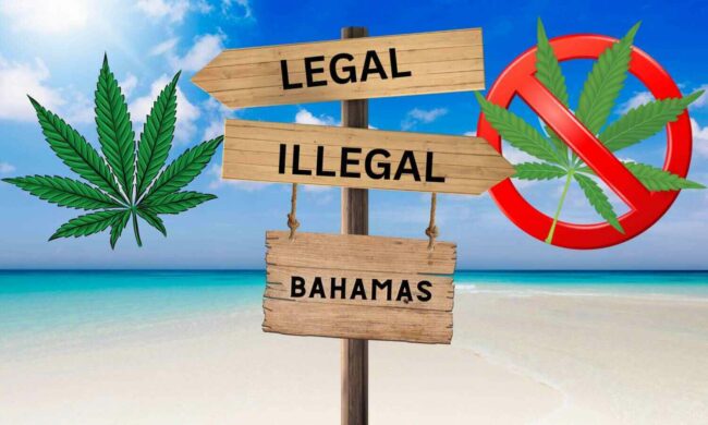 cannabis - Bahamas