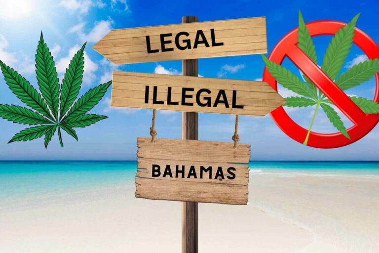 cannabis - Bahamas