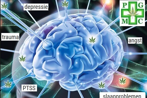 Cannabis et maladies mentales