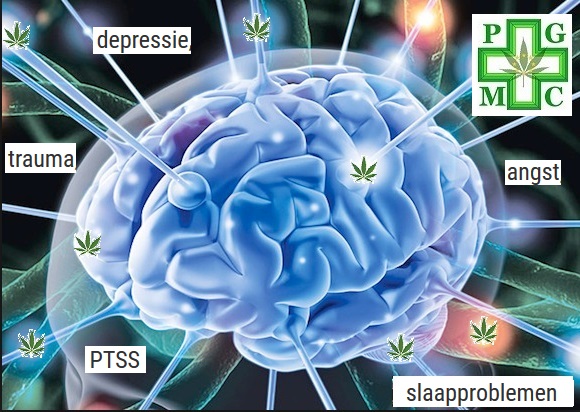 Cannabis et maladies mentales