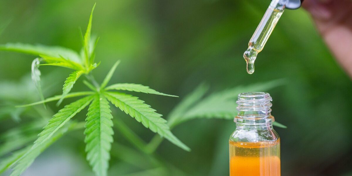 Cannabis, des composants inconnus qui touche l'odeur