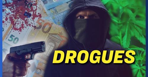Drogues - ça coule de source - la guerre de l'or vert
