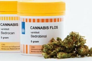 Enquête cannabis médical - Pays-Bas - 2023