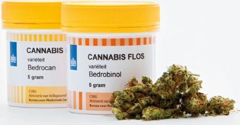 Enquête cannabis médical - Pays-Bas - 2023