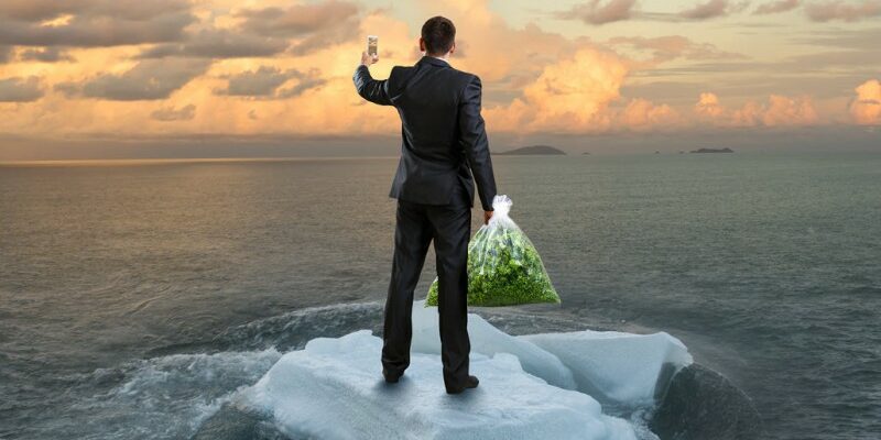 Est-ce que le cannabis vous rend antisocial ou plus social