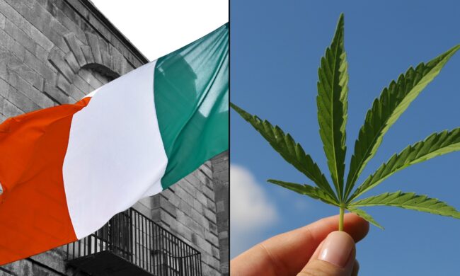 Irlande - Cannabis