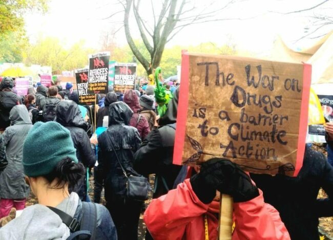 La prohibition mondiale des drogues et ses effets destructeurs sur l'environnement