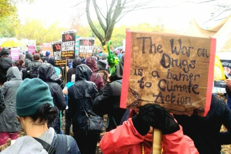 La prohibition mondiale des drogues et ses effets destructeurs sur l'environnement