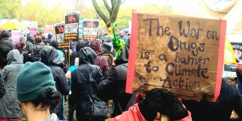 La prohibition mondiale des drogues et ses effets destructeurs sur l'environnement