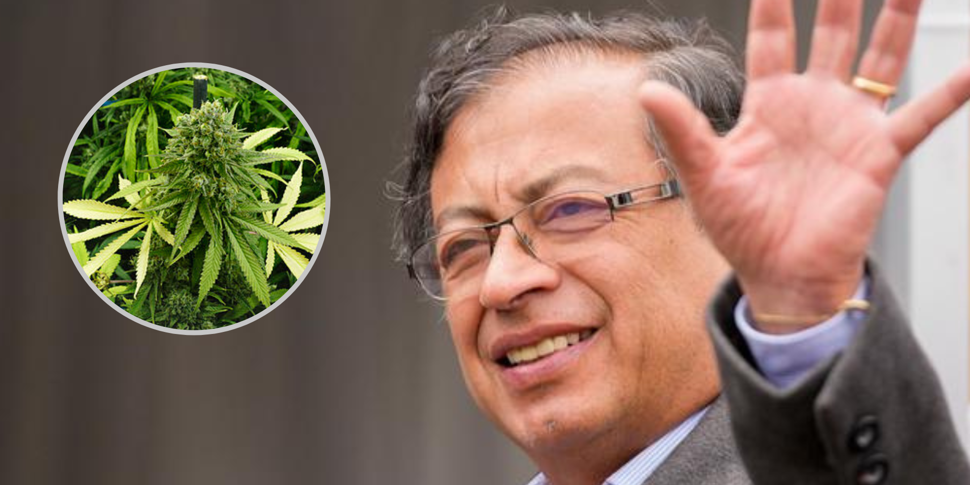 Légalisation - cannabis - Colombie