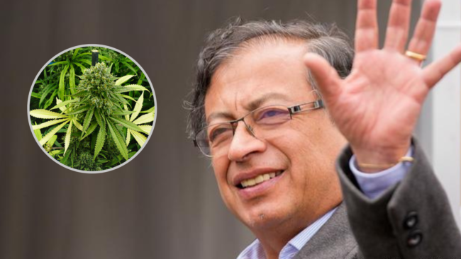 Légalisation - cannabis - Colombie