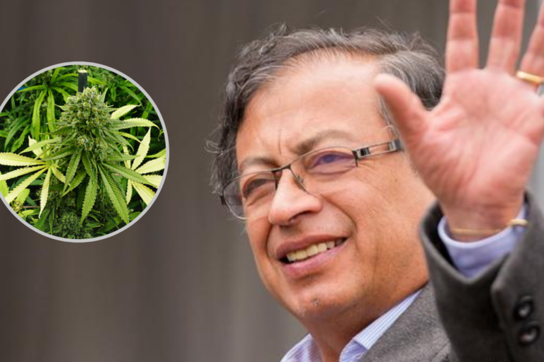 Légalisation - cannabis - Colombie