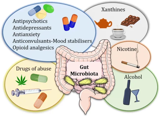 Les cannabinoïdes et le microbiome intestinal