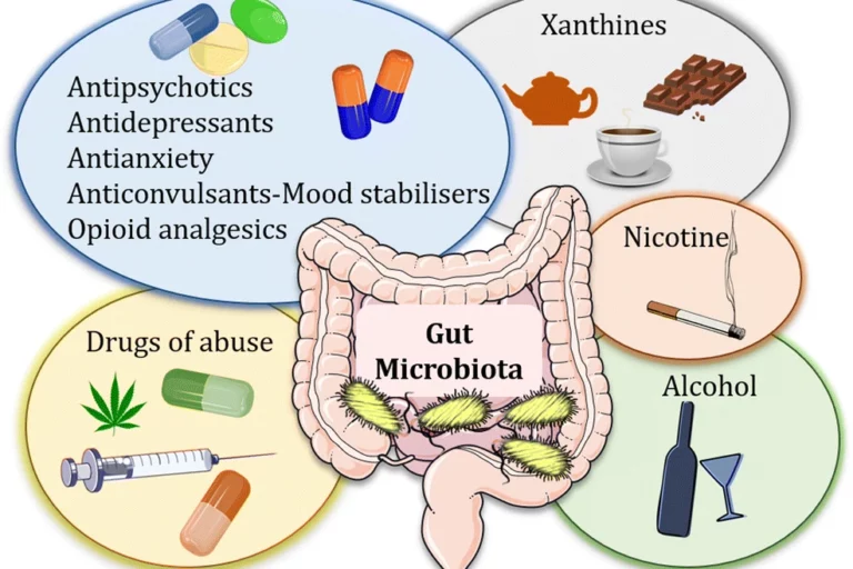 Les cannabinoïdes et le microbiome intestinal