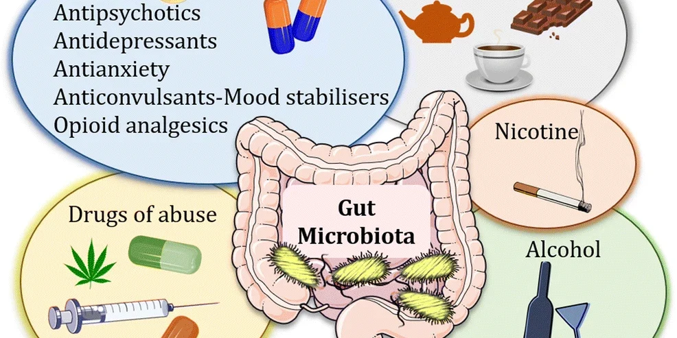 Les cannabinoïdes et le microbiome intestinal