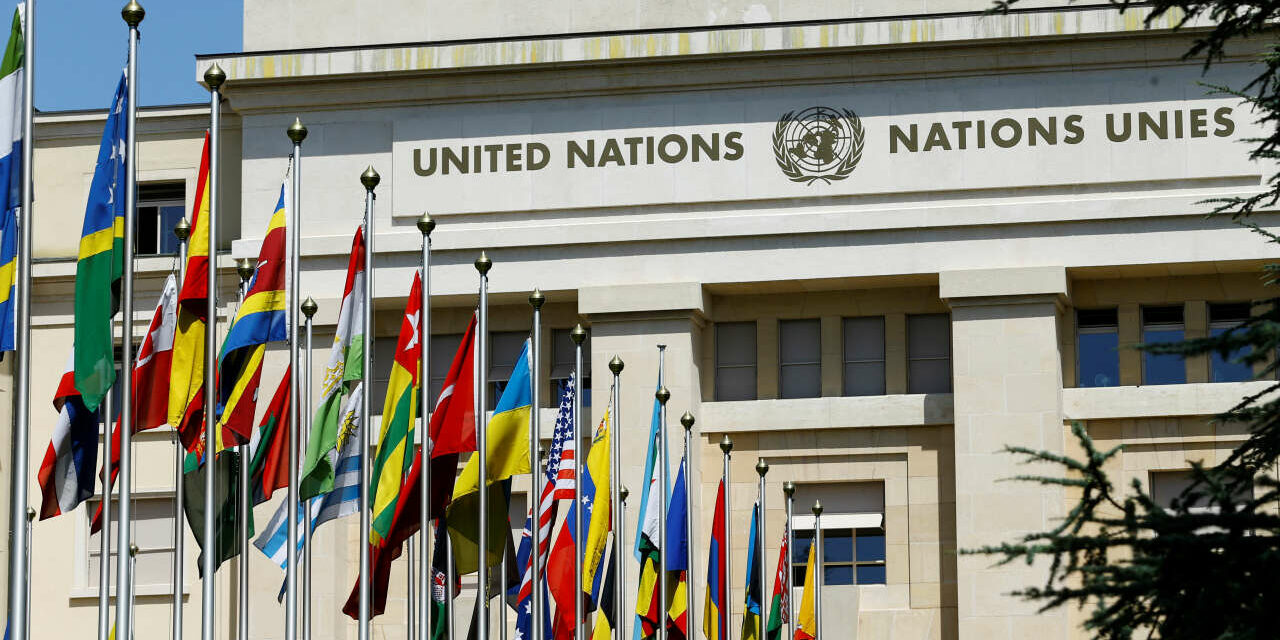 Drogues - Nations Unies - ONU