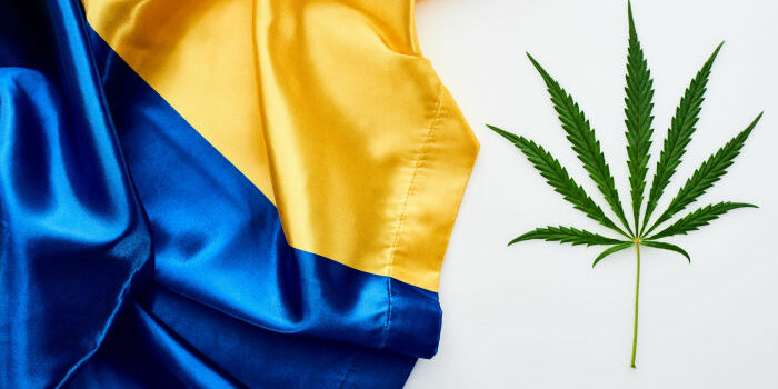 Cannabis médical - Ukraine