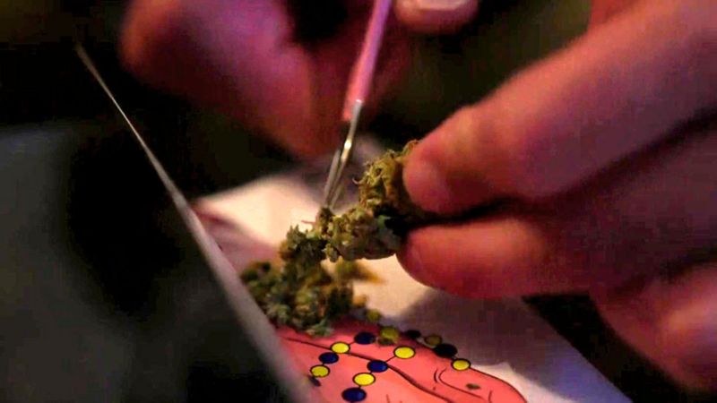 cannabis au service des vétérans en Ukraine