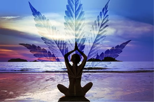 cannabis et yoga