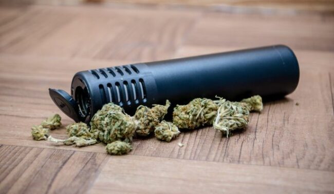 cannabis médical - CIRC