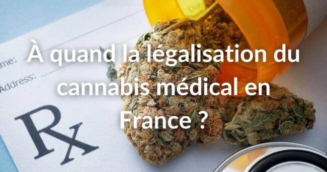 Légalisation - cannabis - médical - France
