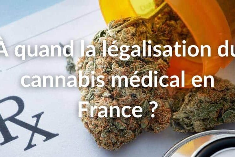 Légalisation - cannabis - médical - France
