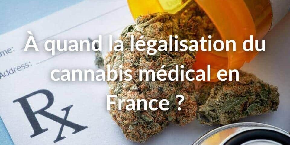 Légalisation - cannabis - médical - France