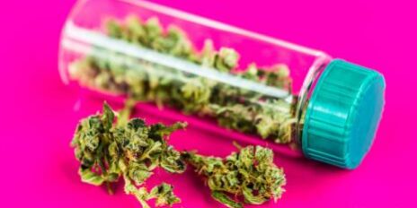 Cannabis médical : les formes inhalées vont-elles être exclues Cannabis médical : les formes inhalées vont-elles être exclues