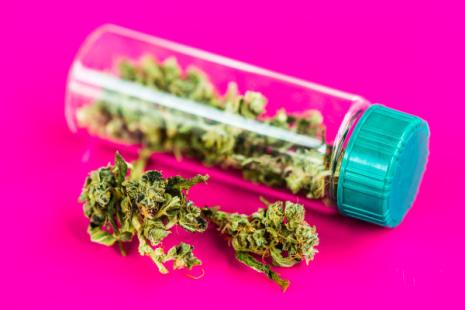 Cannabis médical : les formes inhalées vont-elles être exclues