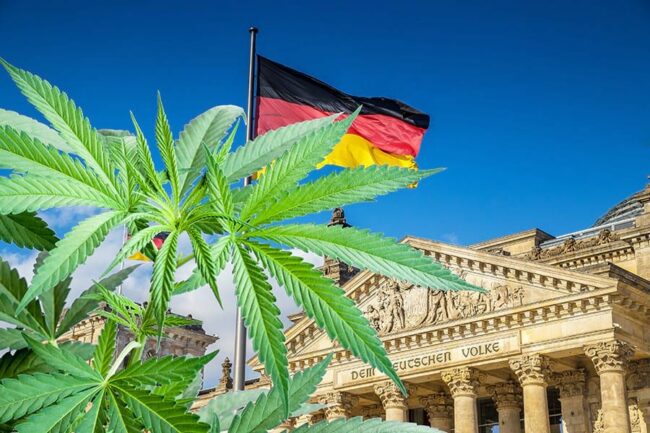 légalisation - cannabis - Allemagne