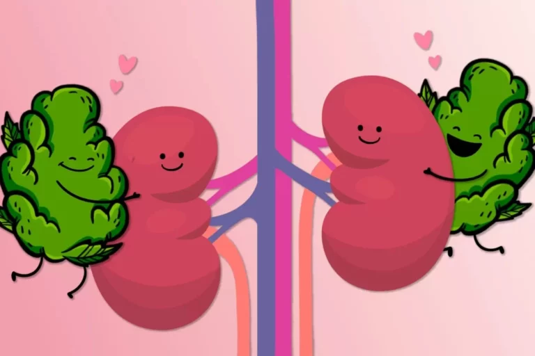 l'influence du cannabis sur les calculs rénaux