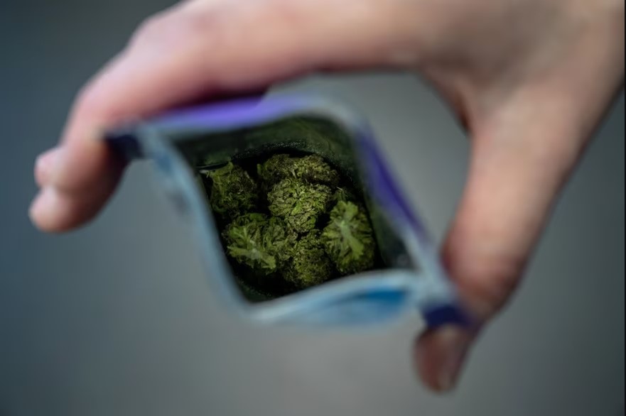 Bâle expérimente la légalisation du cannabis récréatif