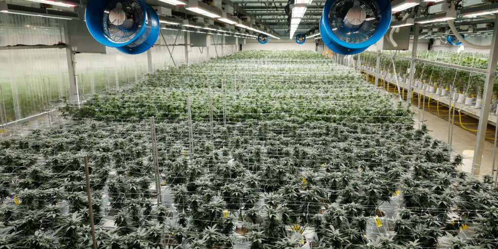 légalisation - cannabis - Ohio - économie