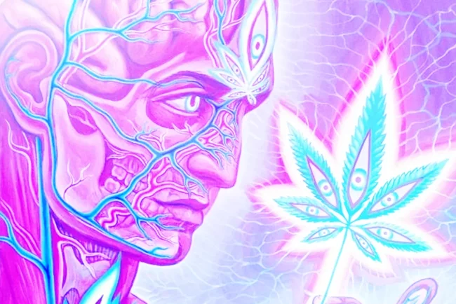 Cannabis Psychédélique