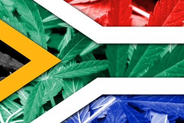 Cannabis - Afrique du Sud