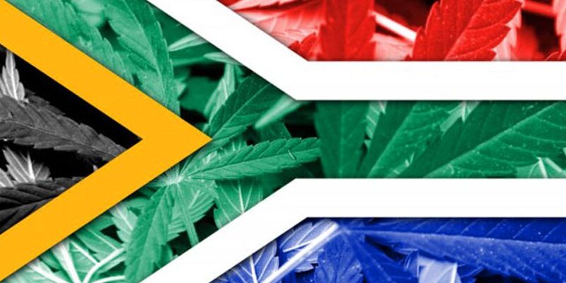 Cannabis - Afrique du Sud