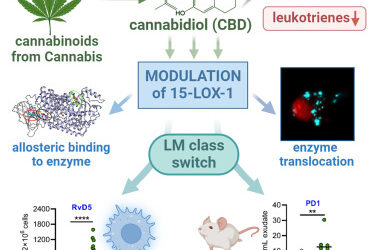Cannabis - anti-inflammatoire