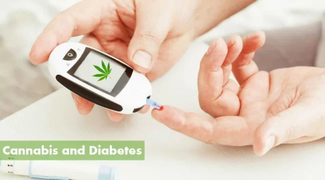 Cannabis médical et Diabètes