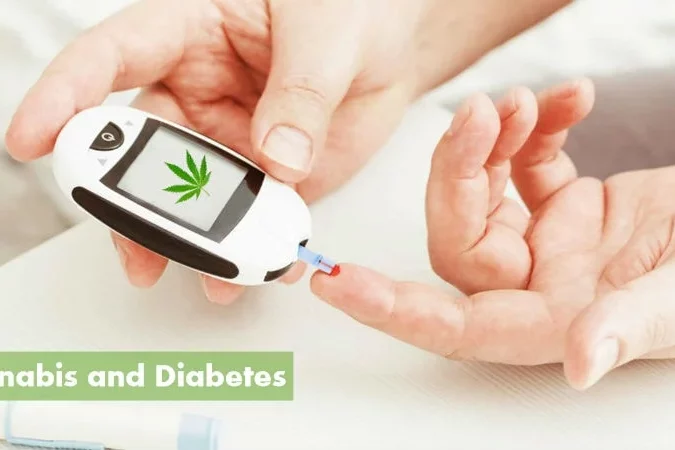 Cannabis médical et Diabètes