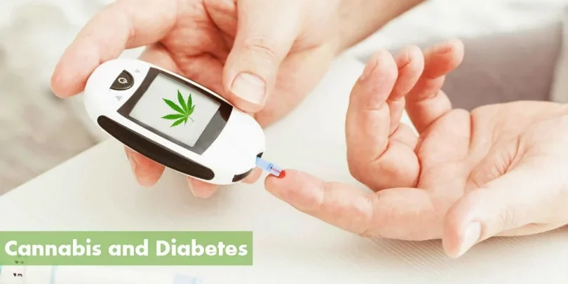 Cannabis médical et Diabètes