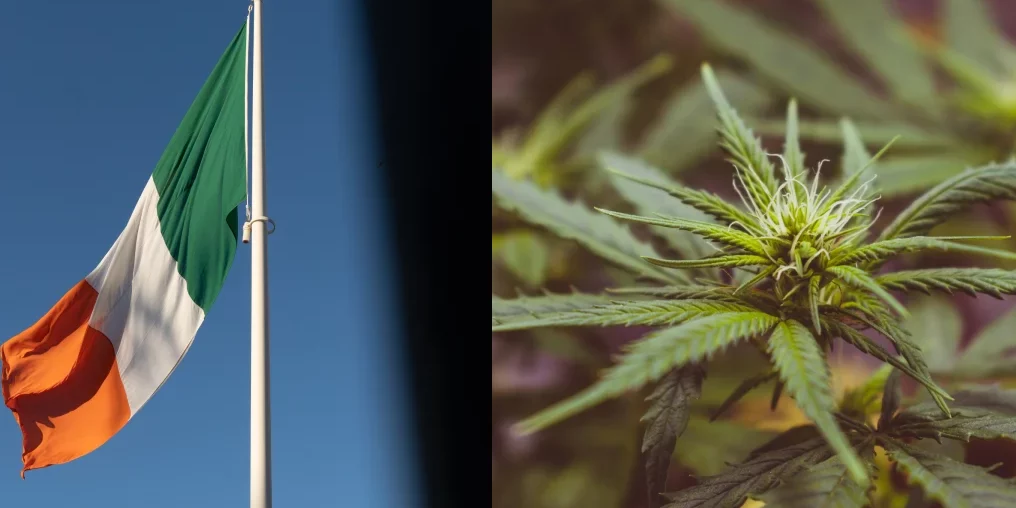 Cannabis médical – Irlande