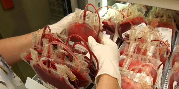 Chanvre, plasma sanguin