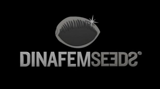 Dinafem - seeds - cannabis
